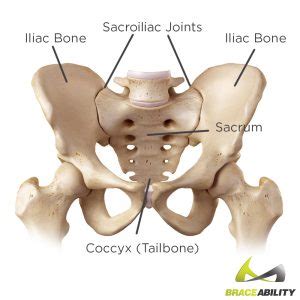 Sacroiliac Joint Pain | SI Joint Dysfunction Symptoms & Back Treatment