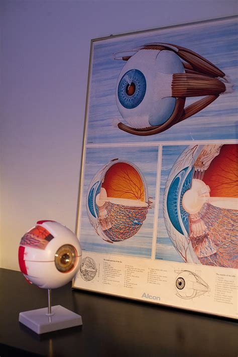 People Stories - With You - The Hong Kong Jockey Club