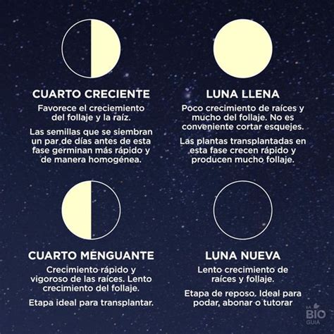 Magia Lunar En Luna Creciente Duendes Avalon