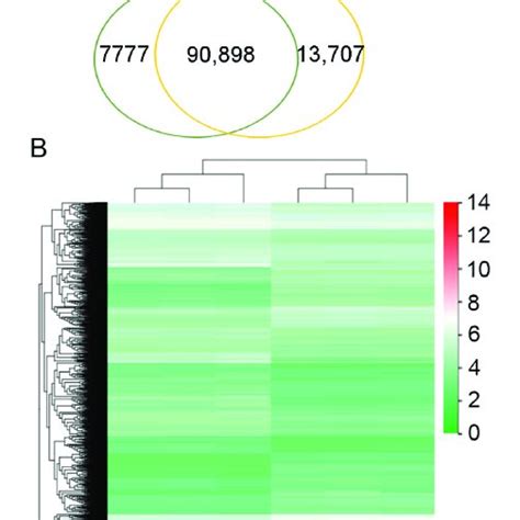 Unigene expression in green and yellow tissues. (A) Venn diagrams ...