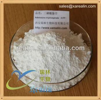 Adenosine Triphosphate Pure Atp Powder Pharmaceutical Grade Buy