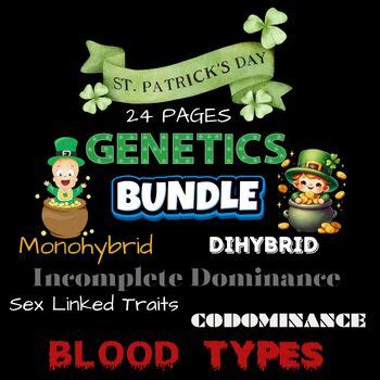 St Patrick S Day Genetics BUNDLE 6 DAYS 24 PAGES PUNNETT SQUARES