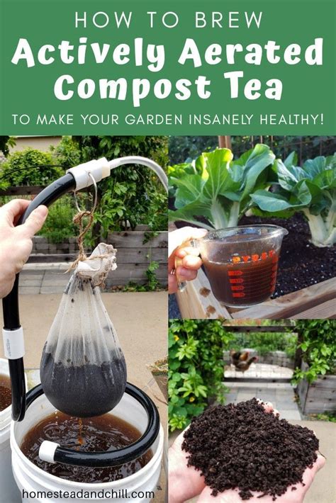 How To Make Compost Tea To Fertilize Your Garden Aerated Organic