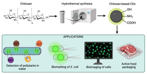 Marine Drugs Free Full Text Chitosan Based Carbon Dots With Applied