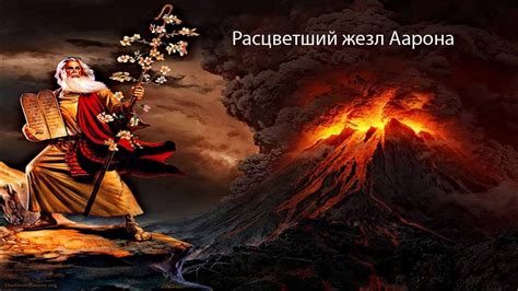 Недельная глава "Корах" - YouTube