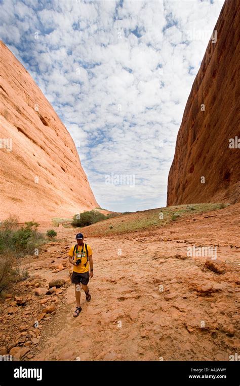 Hiker Waipa Gorge Kata Tjuta Uluru Kata Tjuta National Park World