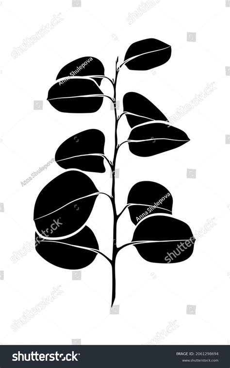 Black Silhouette Eucalyptus Branch Leaves On Stock Vector (Royalty Free ...