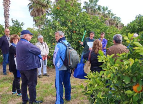 La Jornada De La Aeacsv Sobre Manejo De Cubiertas Vegetales En C Tricos