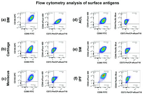 Flow Cytometry Analysis Of The Expression Of Surface Antigens On Cells