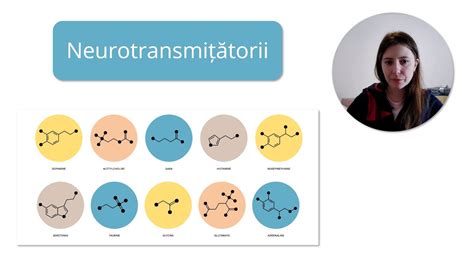 Neurotransmițătorii și recapitulare sinapsă Anatomie și fiziologie