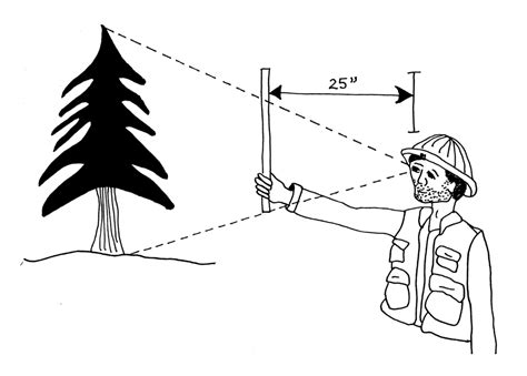 2 6 Instruments Used For Measuring Tree Height Forest Measurements