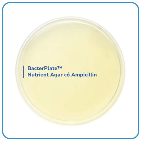 Bacterplate Haemophilus Test Agar Bacterlab