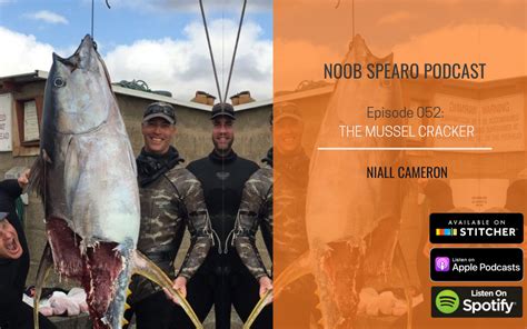 Nsp052 Niall Cameron The Mussel Cracker Noob Spearo Spearfishing