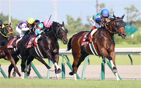 【注目馬動向】メイケイエールは次走の高松宮記念がラストラン 池添謙一騎手「悔いのないレースをしたい」 Umatoku 馬トク