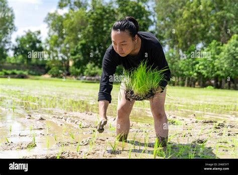 Amateur Asian Hi Res Stock Photography And Images Alamy