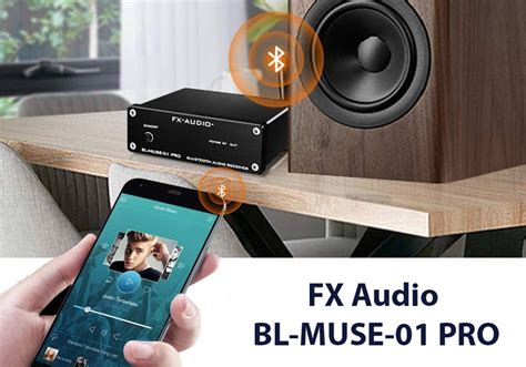 Fx Audio Bl Muse Pro Gi I M Ch T L Ng Gi C Ph I Ch Ng