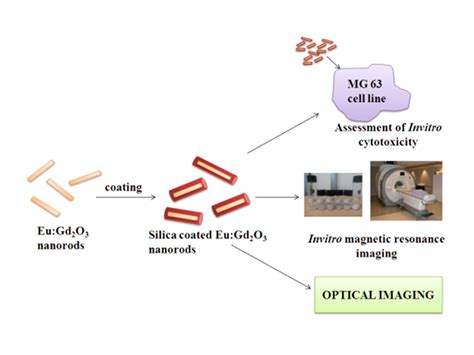 Researchers Developed Nanoparticle Based Contrast Agent For Dual Modal