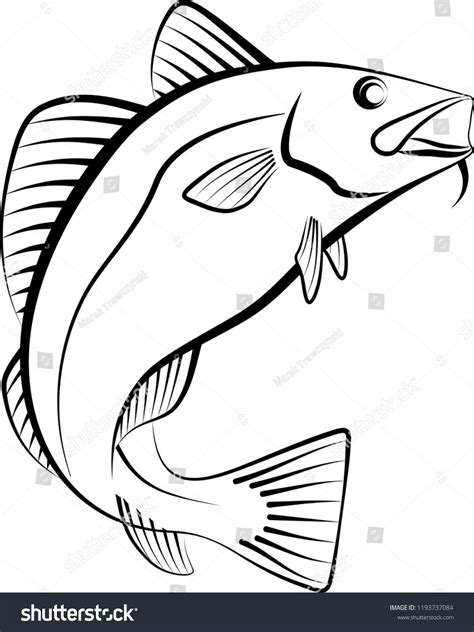 Cod Fish Clip Art Illustration Stock Vector (Royalty Free) 1193737084 | Shutterstock in 2023 ...