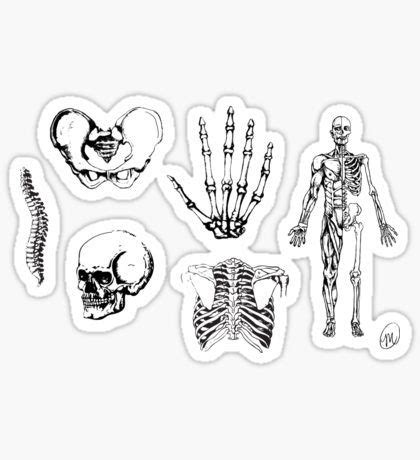 Medical Stickers For Sale Skeleton Sticker Medical Stickers