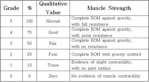 Manual Muscle Testing Grading Mmt 네이버 블로그