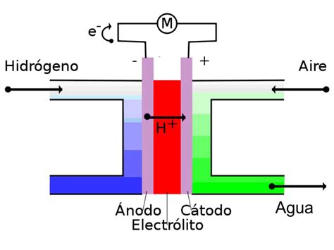 Cómo funcionan las celdas de hidrógeno Autocosmos