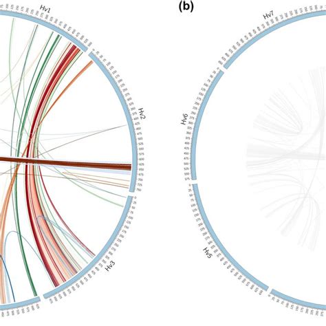 Collinear Genes Analysis A Circle Plot Of 77 Collinear Blocks Download Scientific Diagram