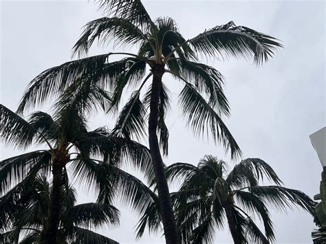 Nws Issues Flash Flood Warning For Kauai