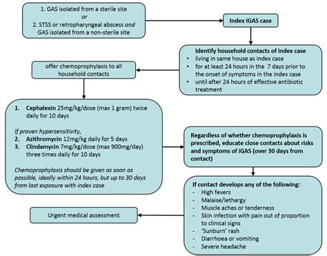 Clinical Practice Guidelines : Invasive group A streptococcal ...