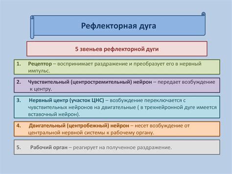 Рефлекс. Виды рефлексов - презентация онлайн