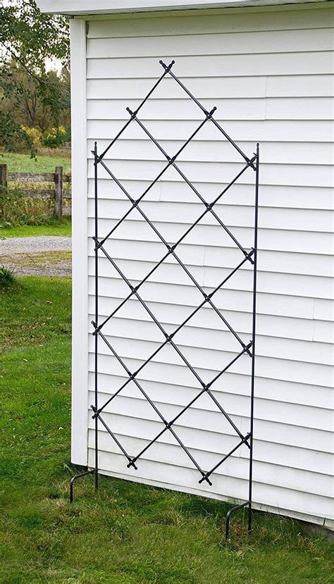 Achla Designs Ft G Mounted Lattice Wrought Iron Garden Wall Trellis