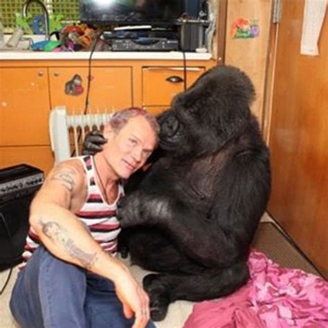 Red Hot Chili Peppers Bassist Flea Makes Friends With A Gorilla 3 Pics