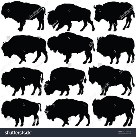 American Bison Silhouette Collection Vector Stock Vector 22262749