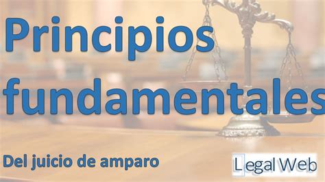 El Juicio De Amparo Principios Fundamentales Legal Web Youtube