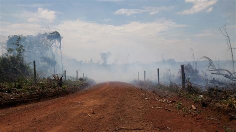 ‘Narco-deforestation’ and the future of the Amazon - The New York Times