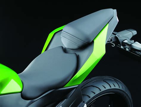 Kawasaki Z SL Spells Naked Fun But Not The NSFW Way Autoevolution