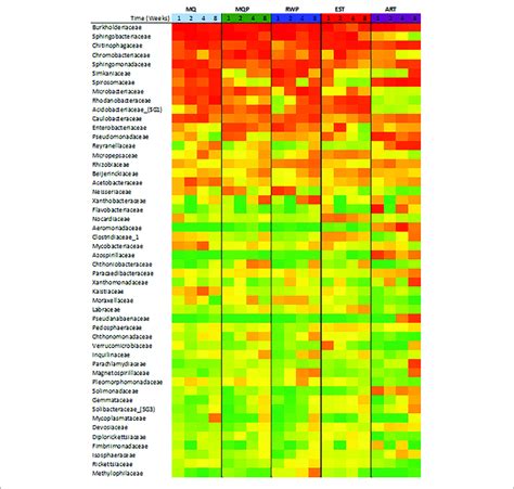 Heatmap Of The 50 Most Abundant Bacterial Families Identified In