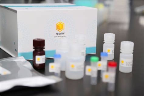 ELISA Testkit RK04149 ABclonal Technology für Forschungszwecke