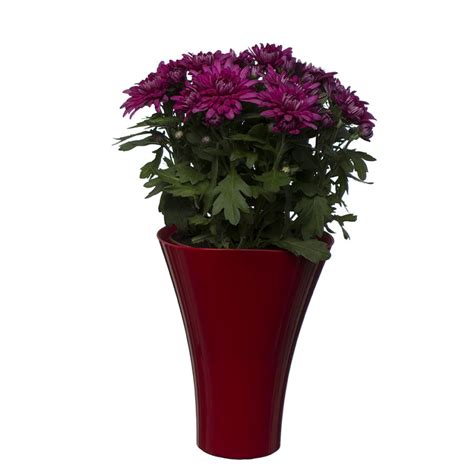 Flower Pots Wave Long Red