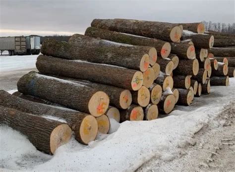 Hickory Logs Kretz Lumber