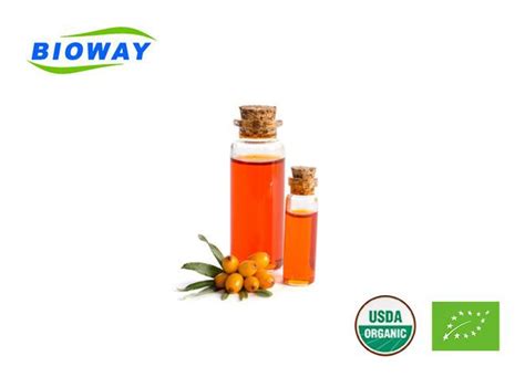 China Hippophae Rhamnoides Sea Buckthorn Fruit Oil Suppliers