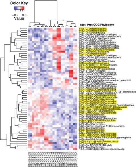 Cluster Heat Map Constructed From The Normalised Volumes Of Spots With Download Scientific