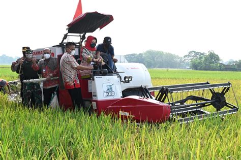 Gunakan Combine Harvester Bupati Panen Raya Padi Bersama Bank