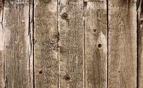 Free Images Tree Nature Branch Wood Texture Plank Floor Trunk