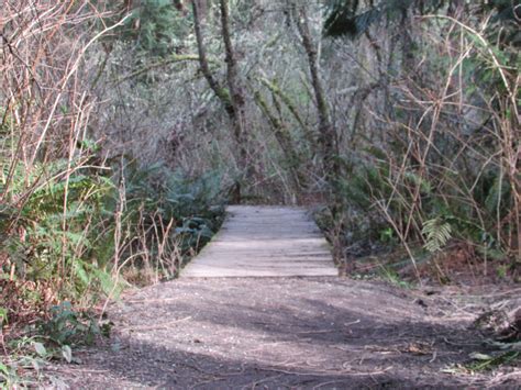 greenjeff Photo Collection — Seward Park Picnic Area, Trail and Viewpoints