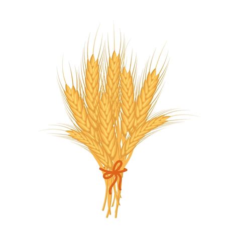 Premium Vector Bouquet Of Spikelets Of Wheat Agriculture Icon Design