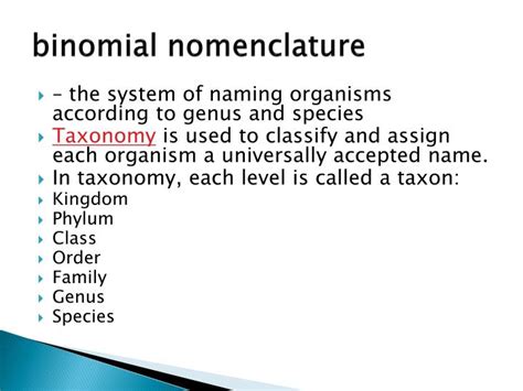 Grade 11 Biology Sbi3u0 18 Mind Map