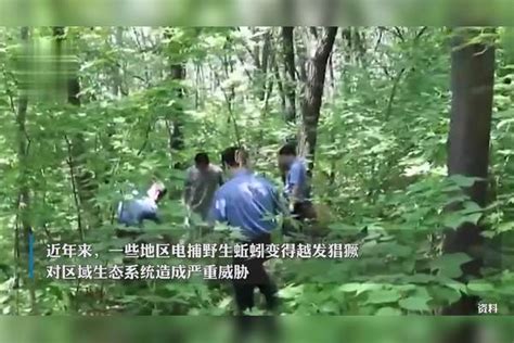 “打击电捕蚯蚓”写入中央一号文件，经销商：不敢收野生蚯蚓了