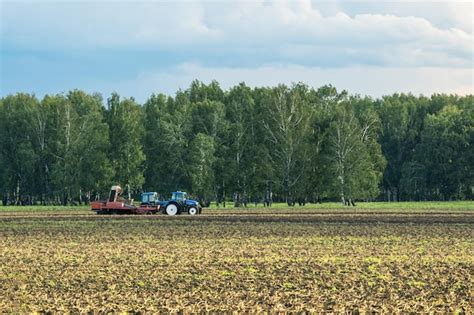 Premium Photo Tractors Harvesting Potatoes On Field Harvesting Potatoes