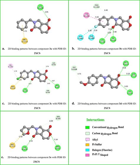 D Binding Patterns Between Lactone Lactam Derivatives Ae With