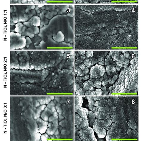 Samples Nos 1 8 Are TiO 2 Or TiO X N Y Coated NiTi Surfaces The